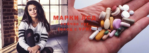 крисы Баксан