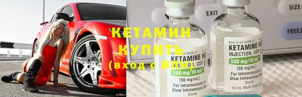 крисы Баксан
