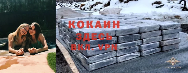 крисы Баксан