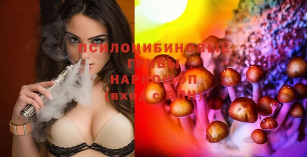 крисы Баксан