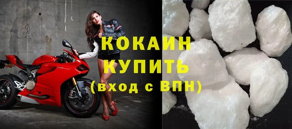 крисы Баксан