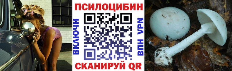 площадка клад  Чусовой  Галлюциногенные грибы мухоморы 